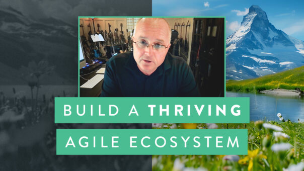 Build a Thriving Agile Ecosystem