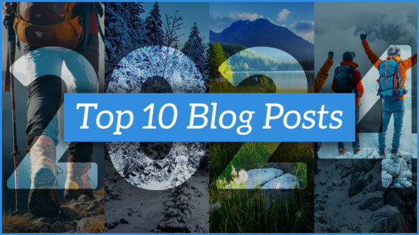 Top 10 Blog Posts